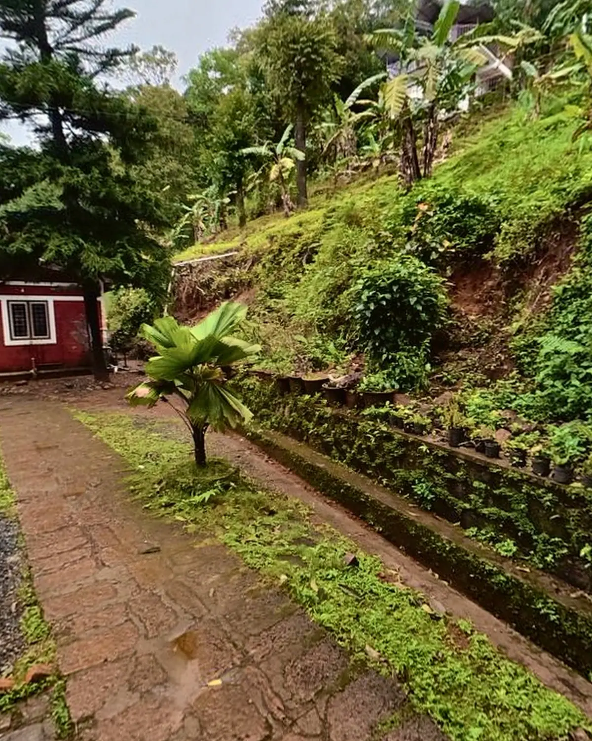 Garden path below the hillside